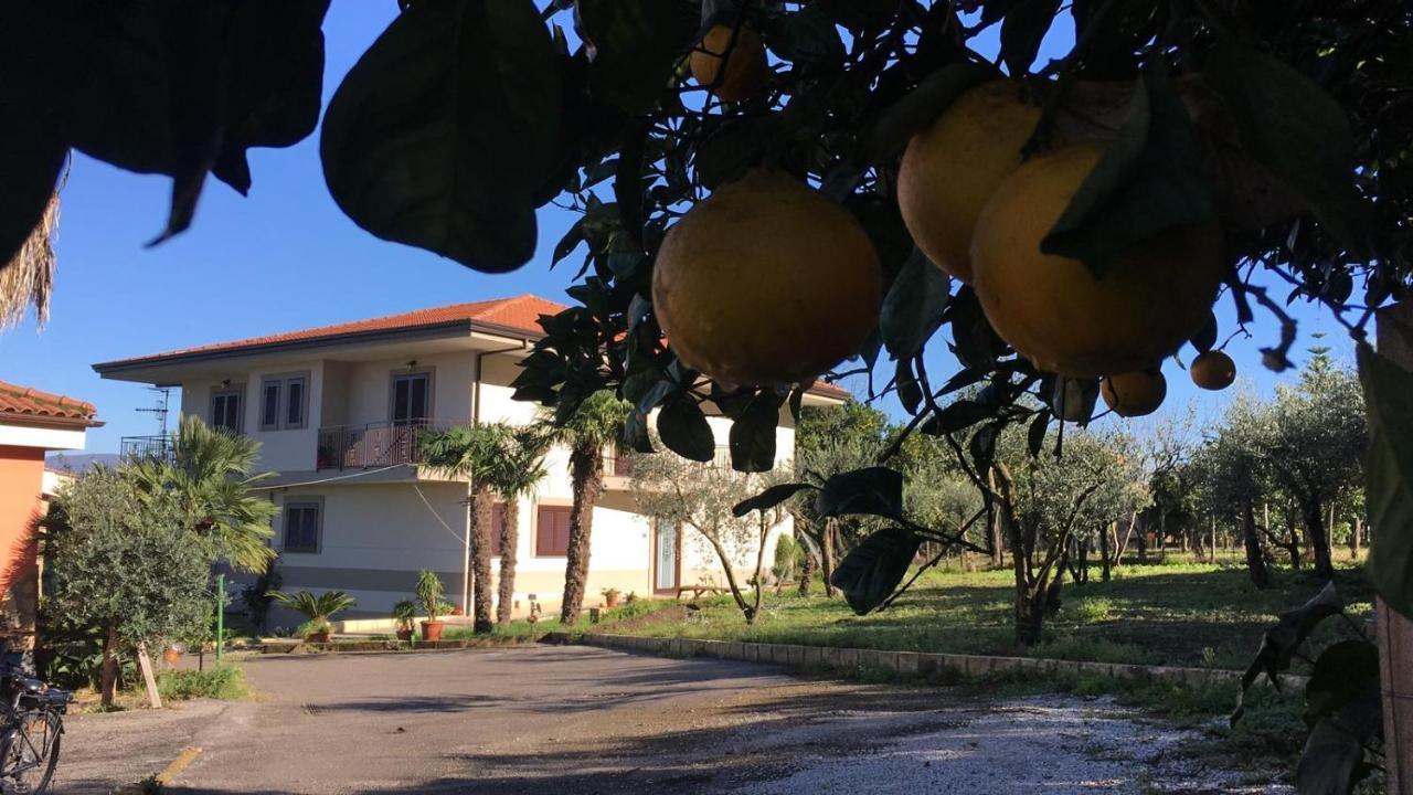 B & B Evergreen Corbara  Экстерьер фото