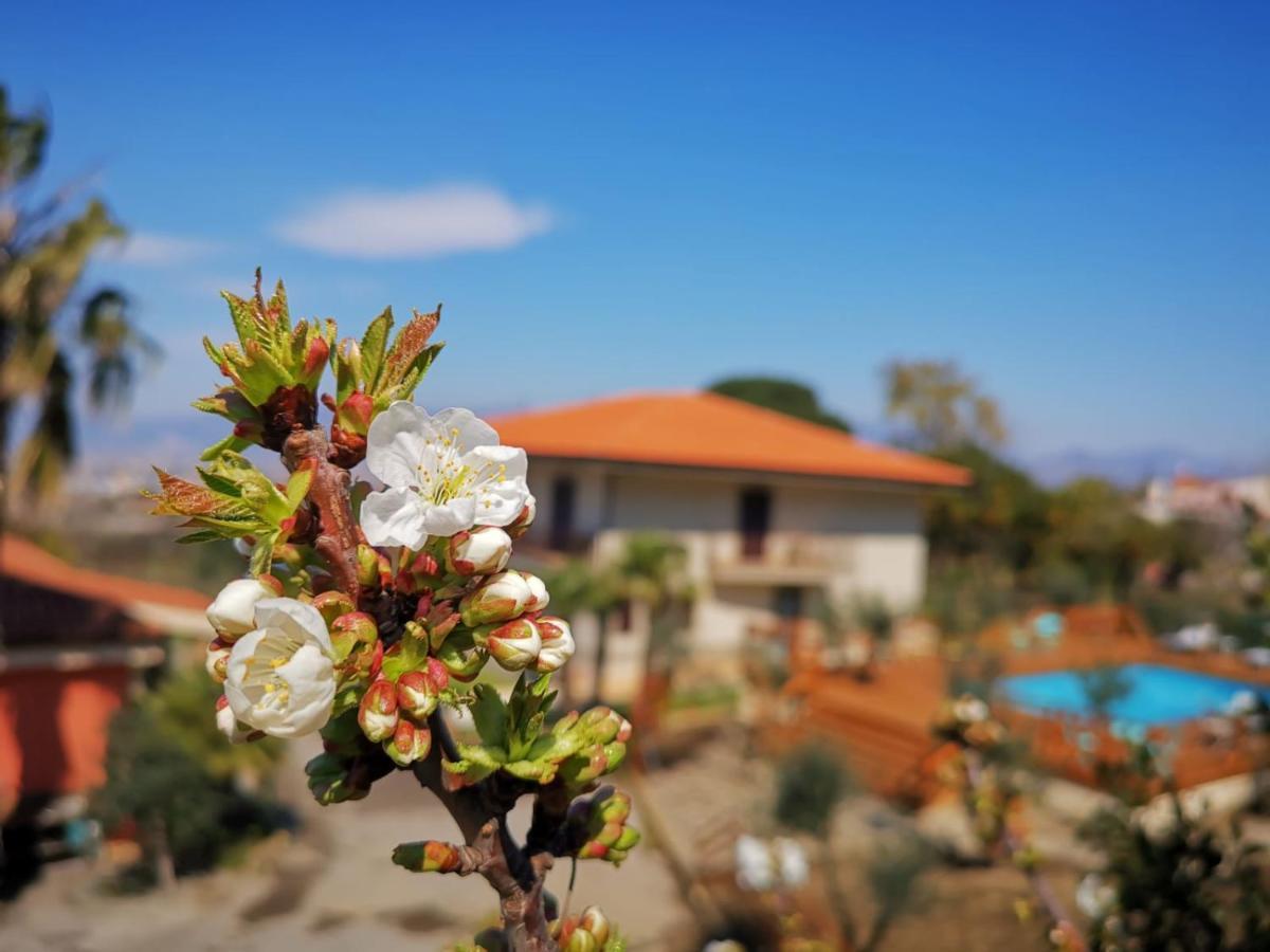 B & B Evergreen Corbara  Экстерьер фото
