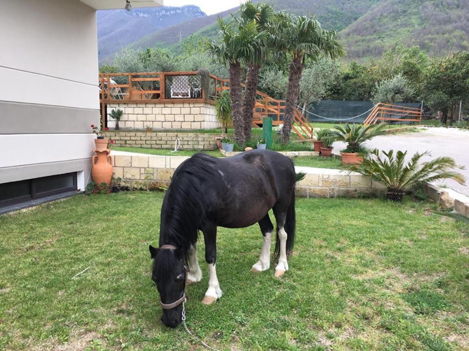B & B Evergreen Corbara  Экстерьер фото