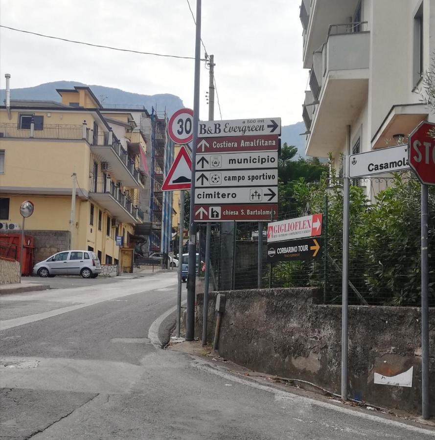 B & B Evergreen Corbara  Экстерьер фото